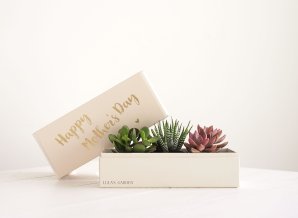 Original-Jewel_Liraz_042018_Version